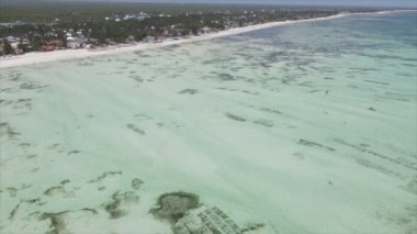 Bu stok videosu 8K çözünürlükte Tanzanya, Zanzibar açıklarındaki okyanusta alçak gelgitin havadan görüntüsünü gösteriyor.