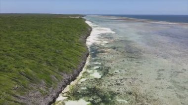 Bu stok videosu 8K çözünürlükte Tanzanya, Zanzibar açıklarındaki okyanusta alçak gelgitin havadan görüntüsünü gösteriyor.