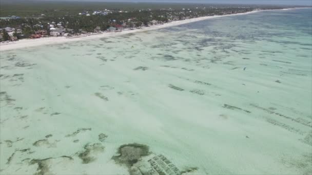 Este Vídeo Mostra Visão Aérea Maré Baixa Oceano Largo Costa — Vídeo de Stock