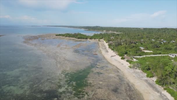 Stock Video Shows Aerial View Low Tide Ocean Coast Zanzibar — 비디오