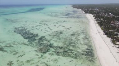 Bu stok videosu 8K çözünürlükte Tanzanya, Zanzibar açıklarındaki okyanusta alçak gelgitin havadan görüntüsünü gösteriyor.