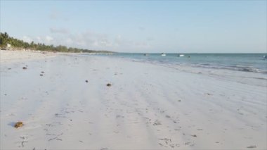 Bu stok videosu 8K çözünürlükte Tanzanya, Zanzibar açıklarındaki okyanusta alçak gelgitin havadan görüntüsünü gösteriyor.