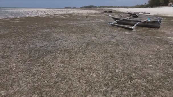 Stock Video Shows Aerial View Low Tide Ocean Coast Zanzibar — Αρχείο Βίντεο