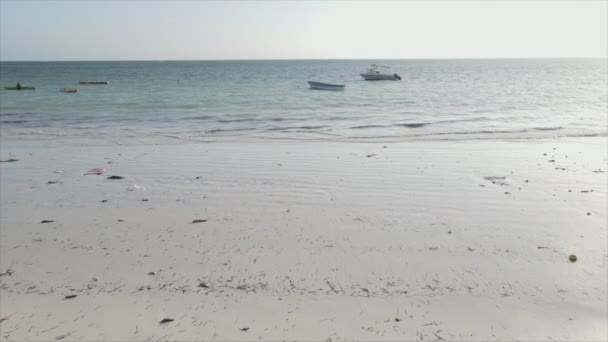 Stock Video Shows Aerial View Low Tide Ocean Coast Zanzibar — Video