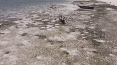 Bu stok videosu 8K çözünürlükte Tanzanya, Zanzibar açıklarındaki okyanusta alçak gelgitin havadan görüntüsünü gösteriyor.