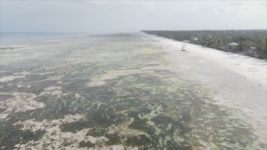 Bu stok videosu 8K çözünürlükte Tanzanya, Zanzibar açıklarındaki okyanusta alçak gelgitin havadan görüntüsünü gösteriyor.