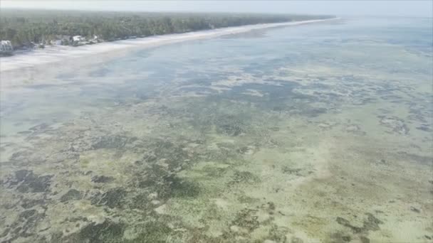 Stock Video Shows Aerial View Low Tide Ocean Coast Zanzibar — Stock Video