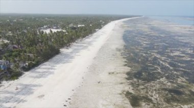 Bu stok videosu 8K çözünürlükte Tanzanya, Zanzibar açıklarındaki okyanusta alçak gelgitin havadan görüntüsünü gösteriyor.
