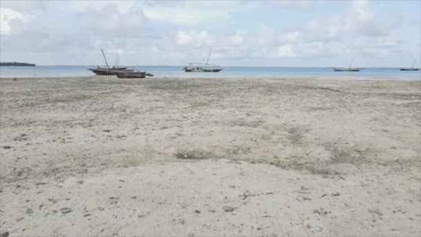 Stok Videosu Çözünürlükte Tanzanya Zanzibar Açıklarındaki Okyanusta Alçak Gelgitin Havadan — Stok video
