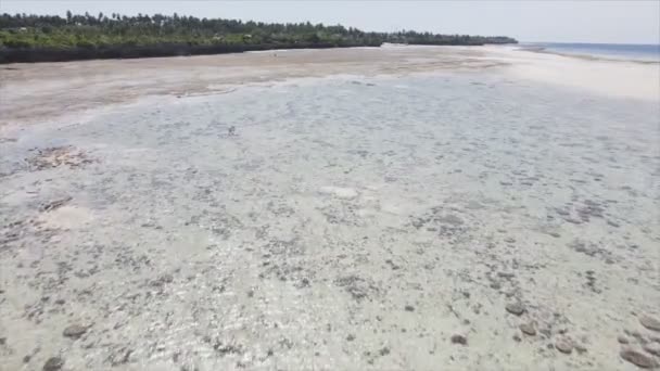 Questo Video Mostra Vista Aerea Della Bassa Marea Nell Oceano — Video Stock