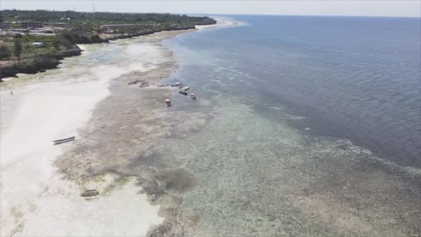 Stock Video Shows Aerial View Low Tide Ocean Coast Zanzibar — Stock Video