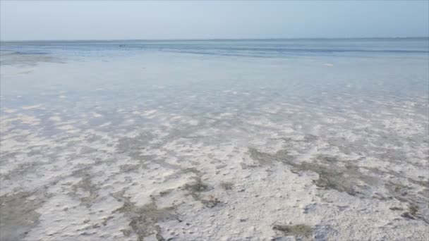 Stock Video Shows Aerial View Low Tide Ocean Coast Zanzibar — Wideo stockowe