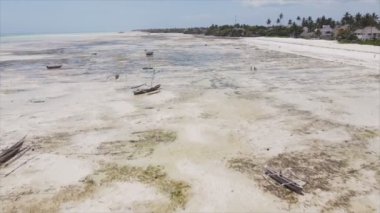 Bu stok videosu 8K çözünürlükte Tanzanya, Zanzibar açıklarındaki okyanusta alçak gelgitin havadan görüntüsünü gösteriyor.