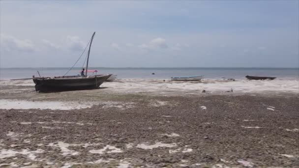 このストックビデオは 8K解像度でタンザニアのザンジバル海岸沖の低潮位の空中ビューを示しています — ストック動画