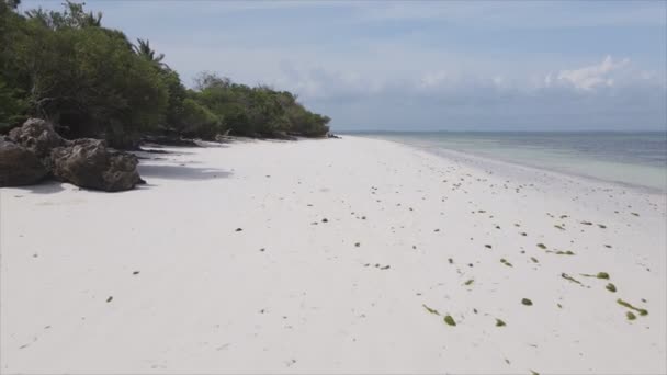 Stock Video Shows Aerial View Low Tide Ocean Coast Zanzibar — Stockvideo