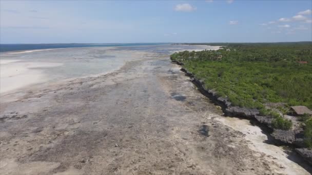 Toto Video Ukazuje Letecký Pohled Odliv Oceánu Pobřeží Zanzibaru Tanzanie — Stock video