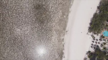 Bu stok videosu 8K çözünürlükte Tanzanya, Zanzibar açıklarındaki okyanusta alçak gelgitin havadan görüntüsünü gösteriyor.