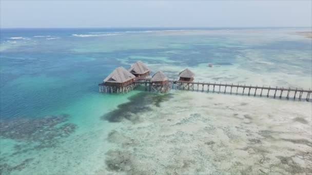 Stock Video Shows Aerial View House Stilts Ocean Coast Zanzibar — Αρχείο Βίντεο