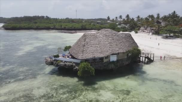 Stock Video Shows Aerial View House Stilts Ocean Coast Zanzibar — Αρχείο Βίντεο