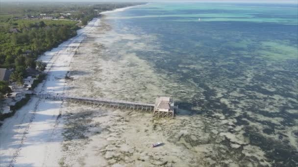 Stock Video Shows Aerial View House Stilts Ocean Coast Zanzibar — Stockvideo