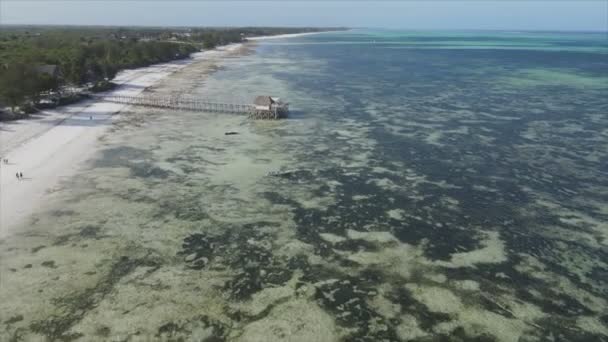 Stock Video Shows Aerial View House Stilts Ocean Coast Zanzibar — Stock video