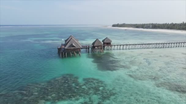 Stock Video Shows Aerial View House Stilts Ocean Coast Zanzibar — Video