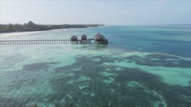 Stock Video Shows Aerial View House Stilts Ocean Coast Zanzibar — Stockvideo