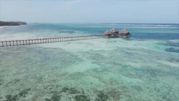 Stock Video Shows Aerial View House Stilts Ocean Coast Zanzibar — Αρχείο Βίντεο