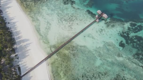 Stock Video Shows Aerial View House Stilts Ocean Coast Zanzibar — Stock video