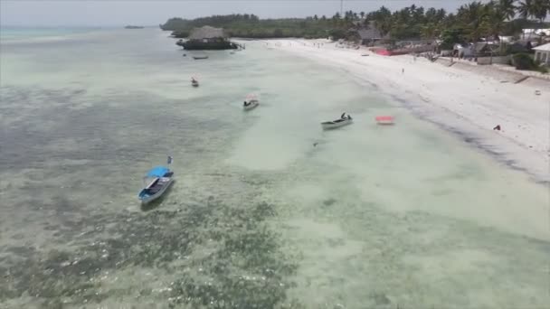 Stock Video Shows Aerial View House Stilts Ocean Coast Zanzibar — Video Stock