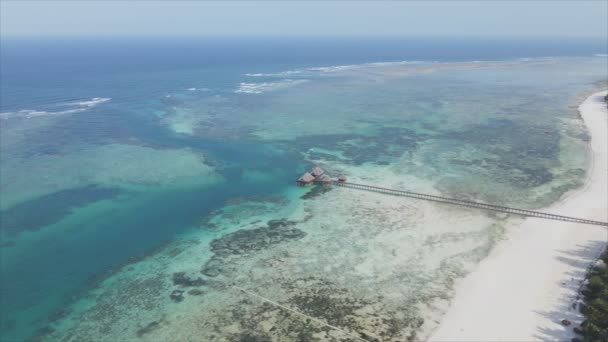 Stock Video Shows Aerial View House Stilts Ocean Coast Zanzibar — Video