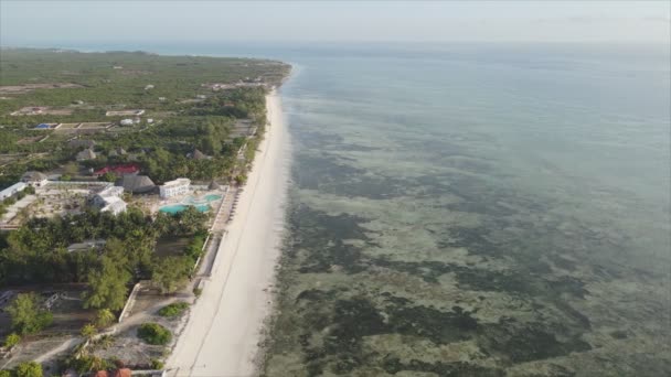 Stock Video Shows Aerial View Ocean Coast Zanzibar Tanzania Resolution — Vídeos de Stock