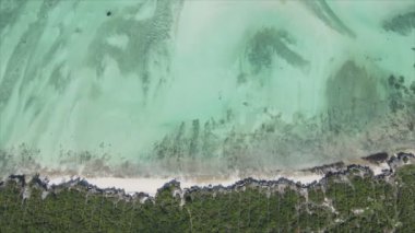 Bu video 8K çözünürlükte Tanzanya 'nın Zanzibar kıyısındaki okyanus manzarasını gösteriyor.
