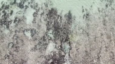 Bu video 8K çözünürlükte Tanzanya 'nın Zanzibar kıyısındaki okyanus manzarasını gösteriyor.