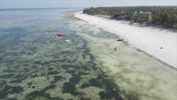 Stock Video Shows Aerial View Ocean Coast Zanzibar Tanzania Resolution — Stock Video