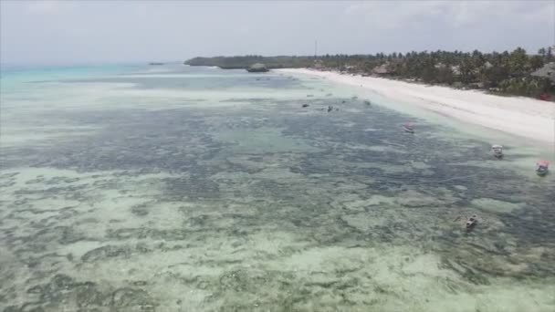 Stock Video Shows Aerial View Ocean Coast Zanzibar Tanzania Resolution — стоковое видео