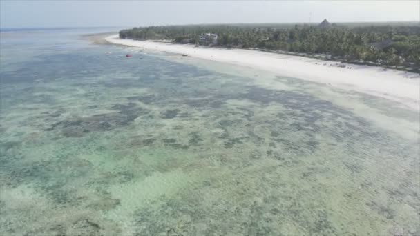 Stock Video Shows Aerial View Ocean Coast Zanzibar Tanzania Resolution — Stock Video