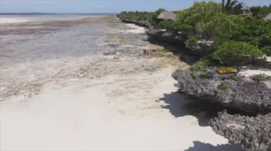 Bu video 8K çözünürlükte Tanzanya 'nın Zanzibar kıyısındaki okyanus manzarasını gösteriyor.