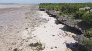 Bu video 8K çözünürlükte Tanzanya 'nın Zanzibar kıyısındaki okyanus manzarasını gösteriyor.