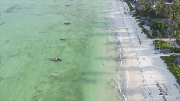 Stock Video Shows Aerial View Ocean Coast Zanzibar Tanzania Resolution — Video Stock