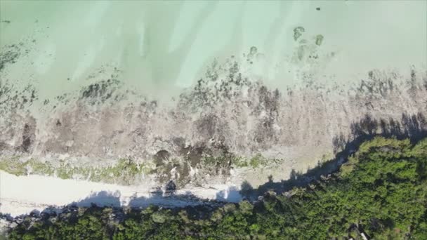 Stock Video Shows Aerial View Ocean Coast Zanzibar Tanzania Resolution — Vídeo de stock