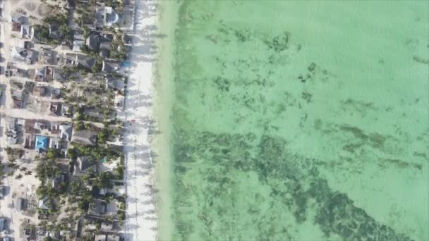 Stock Video Shows Aerial View Ocean Coast Zanzibar Tanzania Resolution — Vídeo de stock