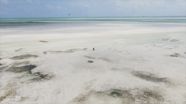 Stock Video Shows Aerial View Ocean Coast Zanzibar Tanzania Resolution — Vídeo de stock