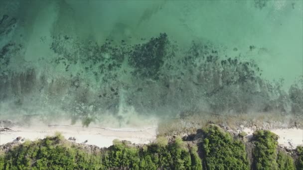 Stock Video Shows Aerial View Ocean Coast Zanzibar Tanzania Resolution — Vídeo de stock