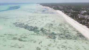 Bu video 8K çözünürlükte Tanzanya 'nın Zanzibar kıyısındaki okyanus manzarasını gösteriyor.