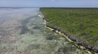 Bu video 8K çözünürlükte Tanzanya 'nın Zanzibar kıyısındaki okyanus manzarasını gösteriyor.