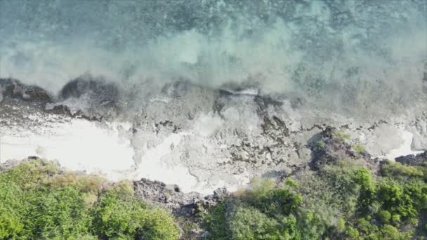 Video Çözünürlükte Tanzanya Nın Zanzibar Kıyısındaki Okyanus Manzarasını Gösteriyor — Stok video