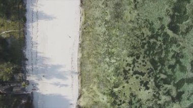 Bu video 8K çözünürlükte Tanzanya 'nın Zanzibar kıyısındaki okyanus manzarasını gösteriyor.