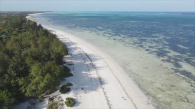 This stock video shows an aerial view of the ocean near the coast of Zanzibar, Tanzania in 8K resolution