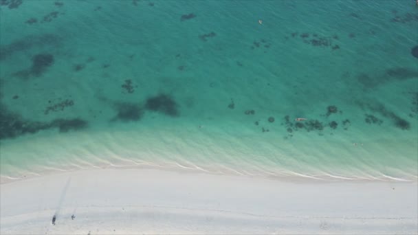 Stock Video Shows Aerial View Ocean Coast Zanzibar Tanzania Resolution — 비디오